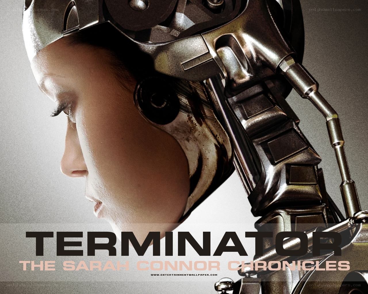 Terminator: The Sarah Connor Chronicles
