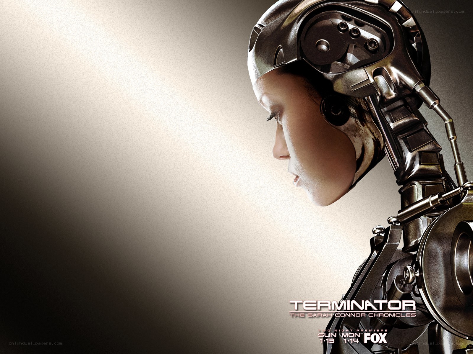 Terminator: The Sarah Connor Chronicles