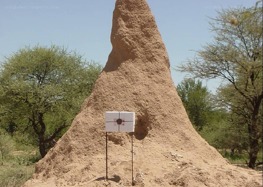 Termite mound with target