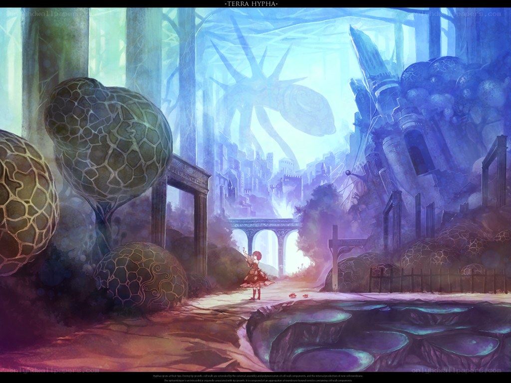 Terra Hypha: A Fantasy Landscape