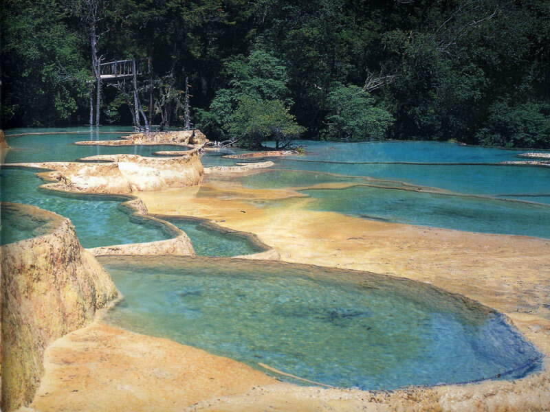 Terrace Pools in Forest