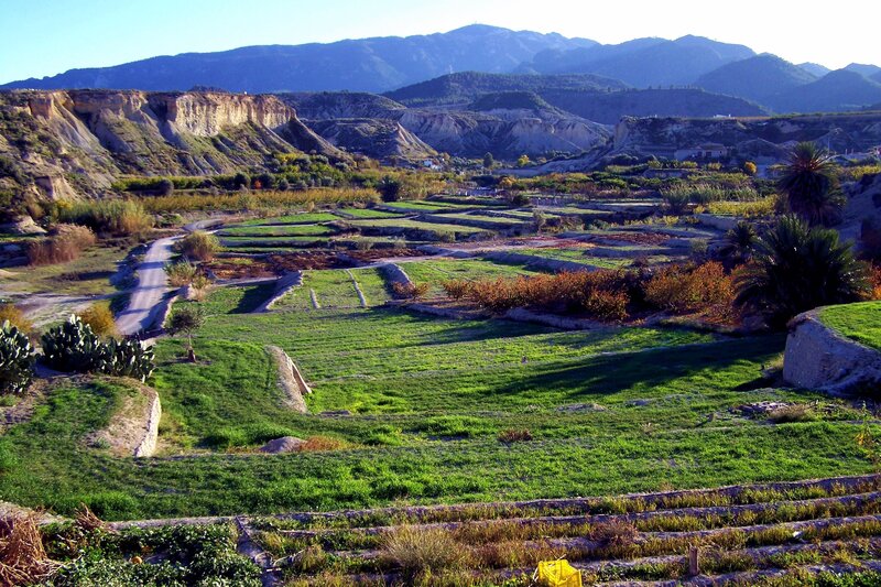 Terraced Fields and Mountains — Green