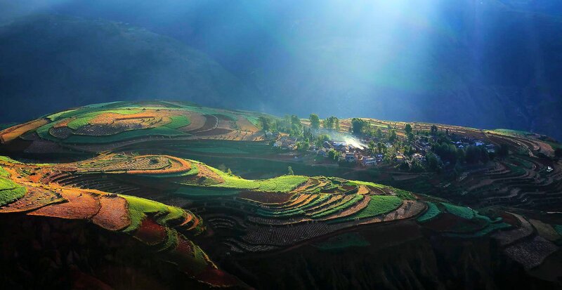 Terraced Fields and Village