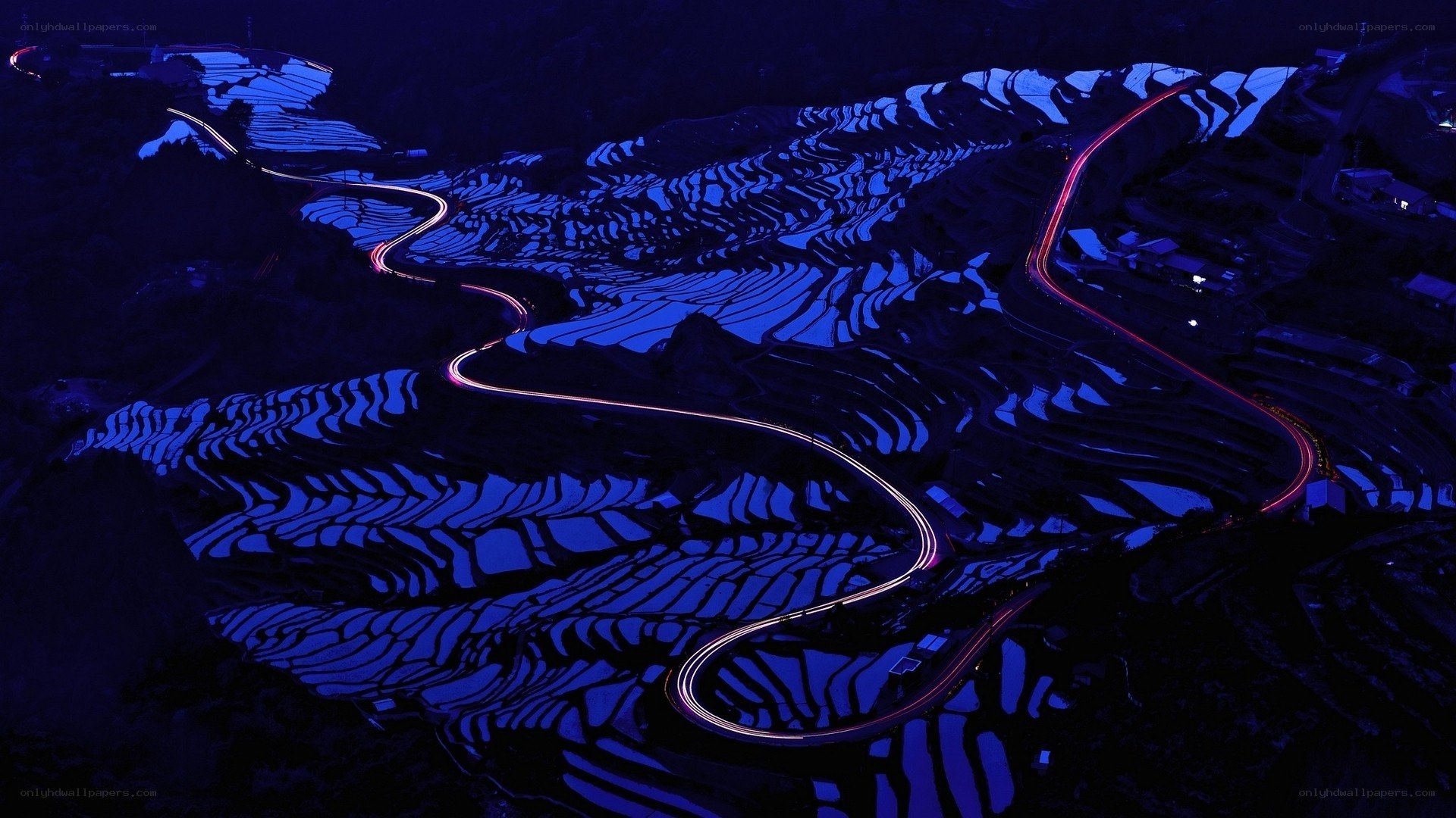 Terraced fields at night
