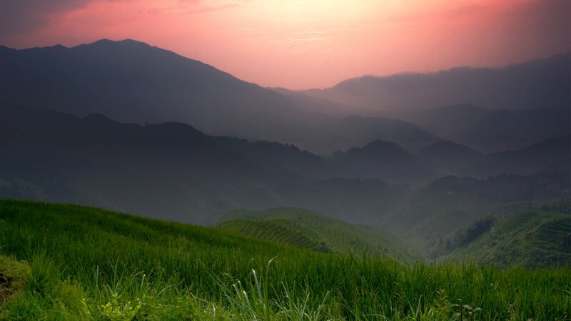 Terraced fields at sunset