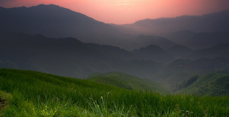 Terraced fields at sunset