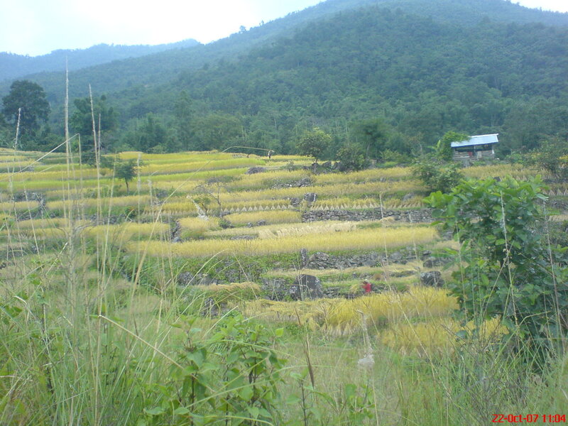 Terraced fields in a mountain valley