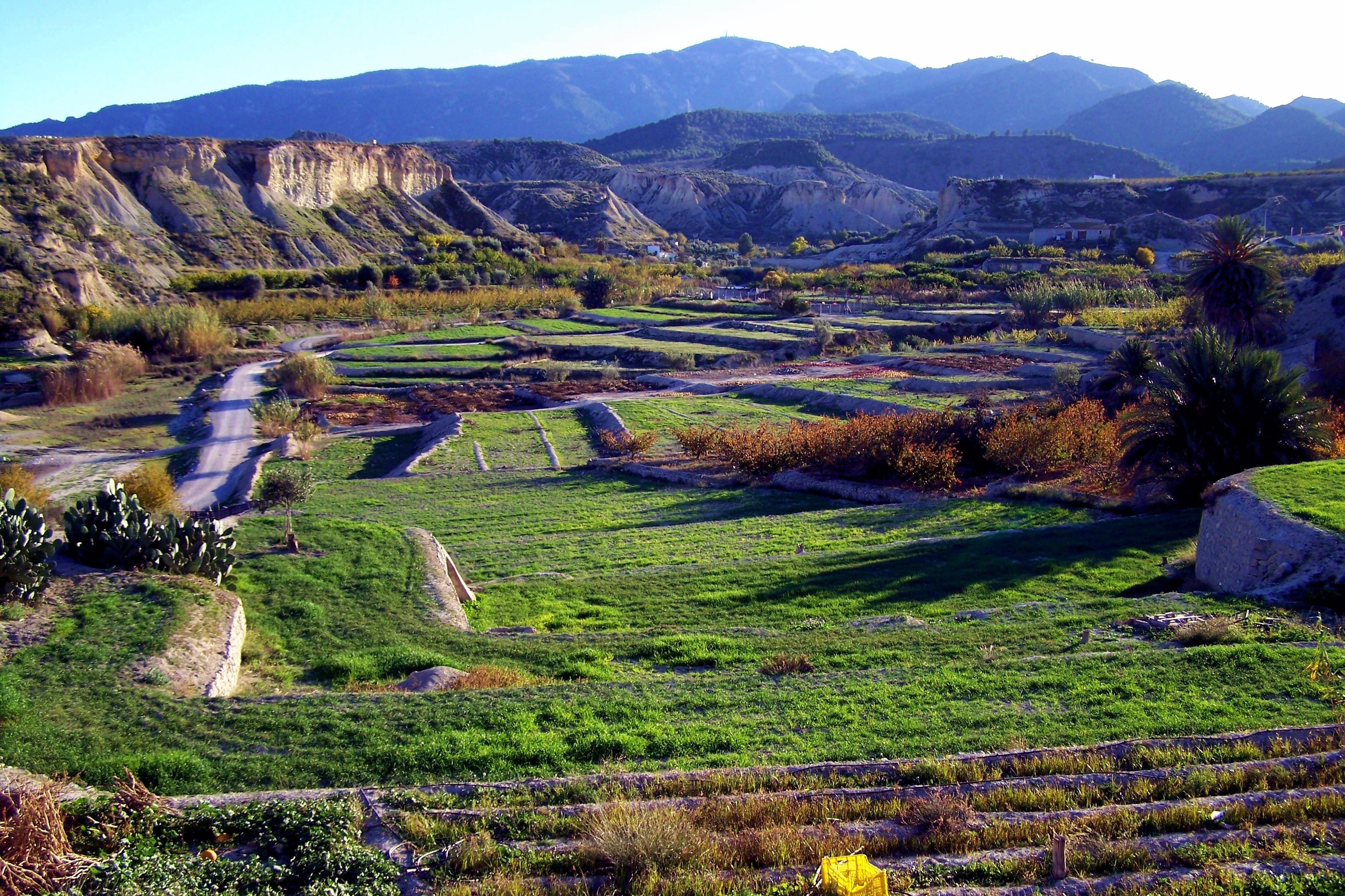 Terraced fields in a mountain valley