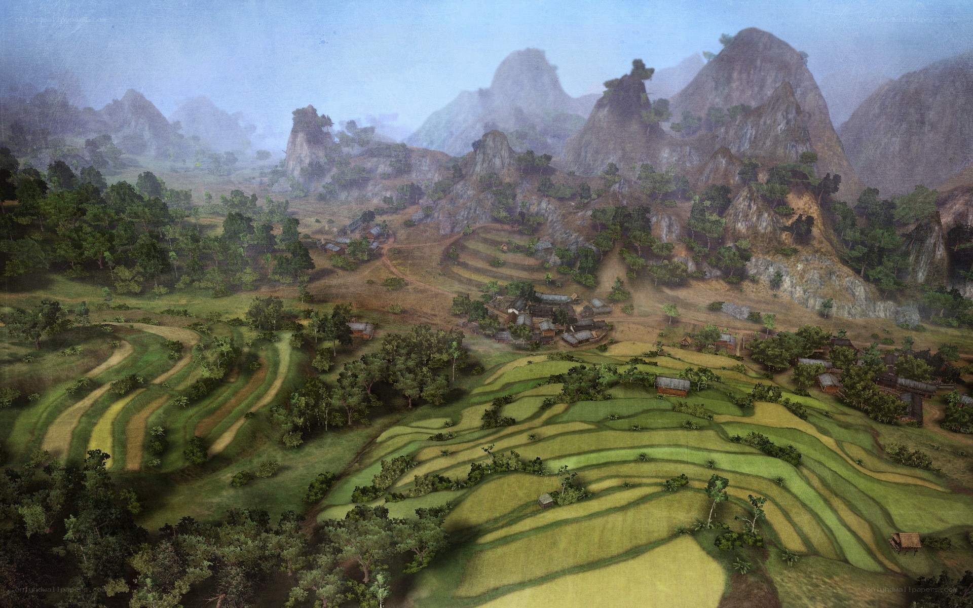 Terraced fields in mountain valley