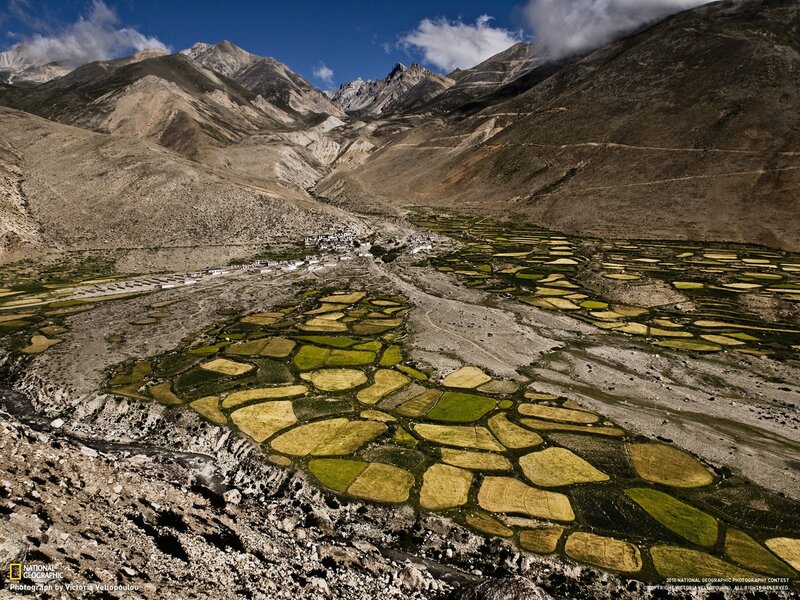Terraced Fields in Valley