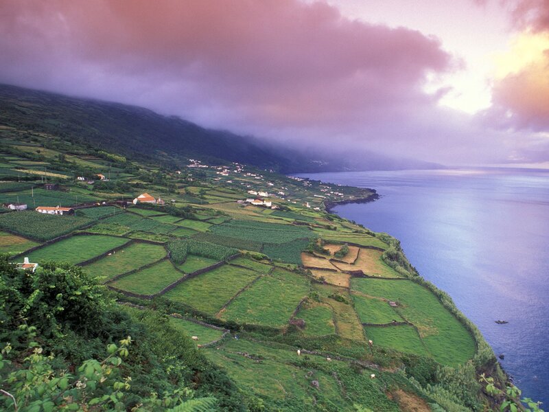 Terraced Fields on Coast — Green