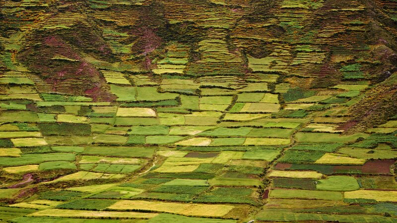 Terraced Fields on Hillside — Green