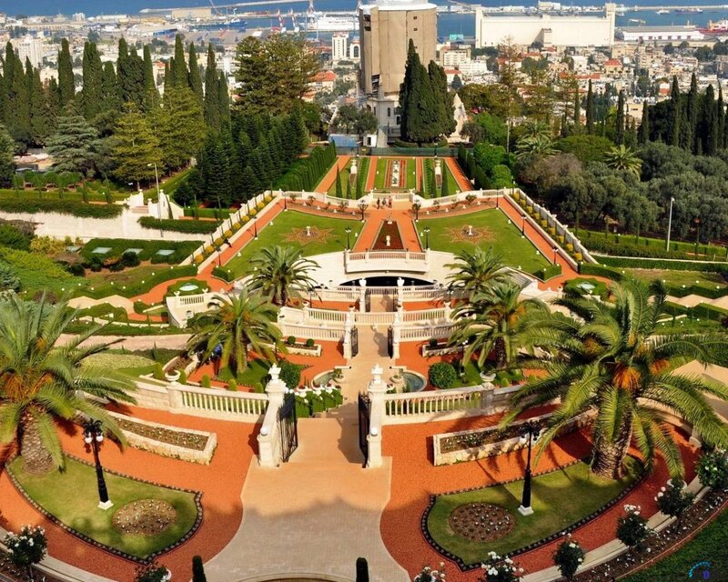 Terraced Garden with Palm Trees — Green