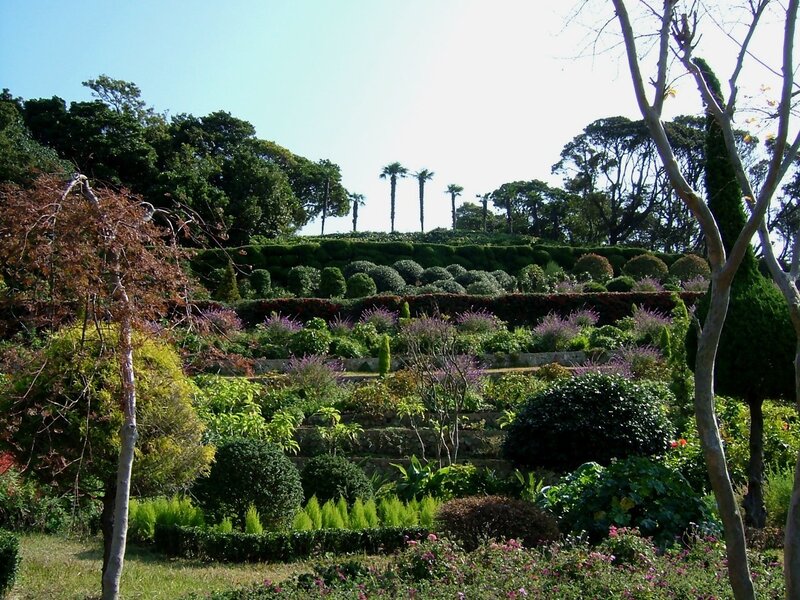 terraced garden with palm trees