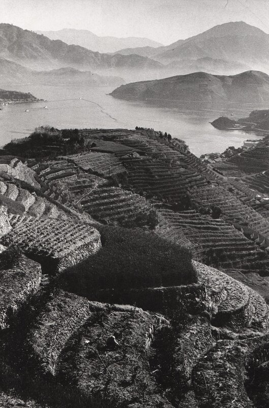 Terraced hills overlooking a bay