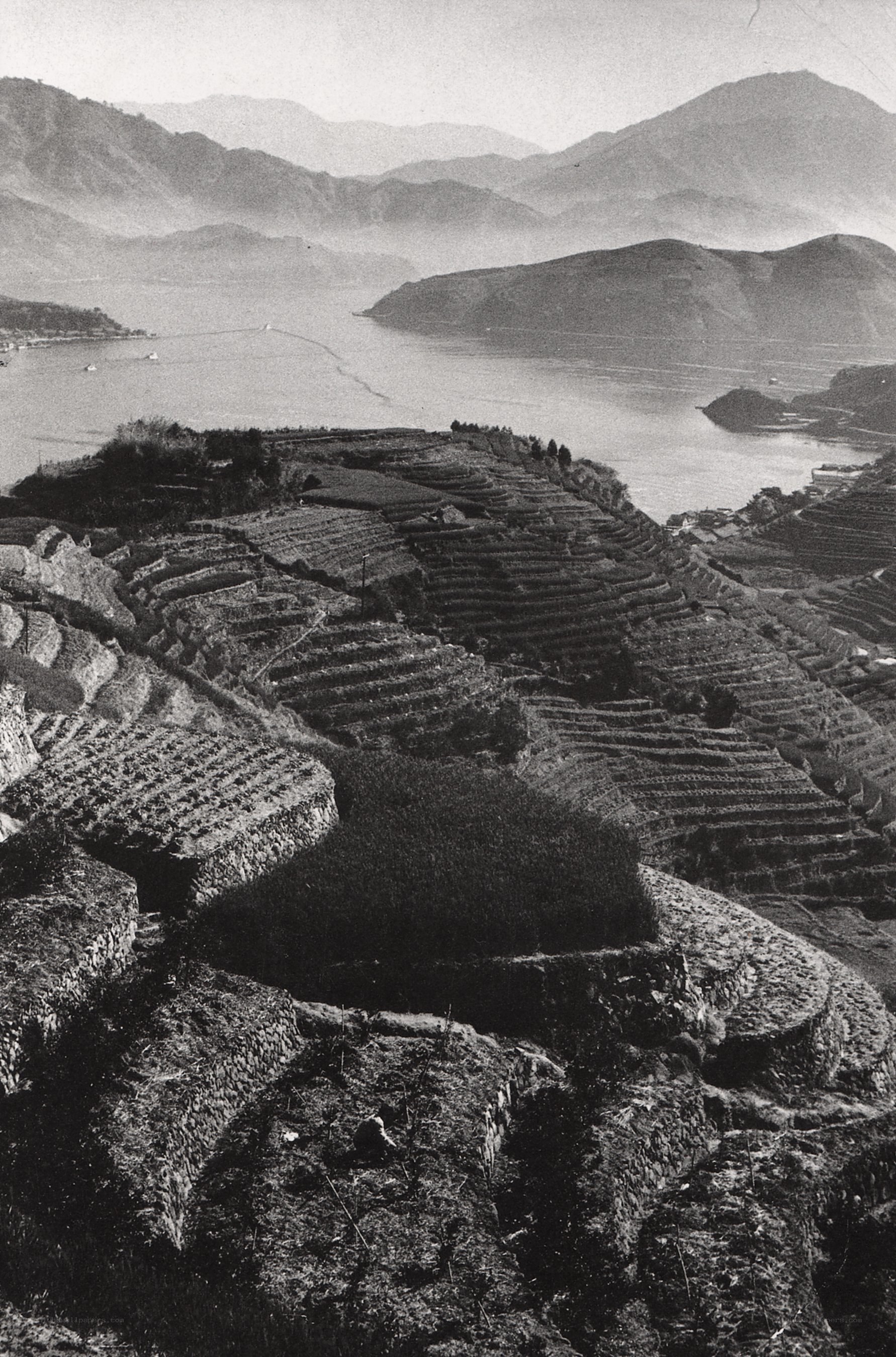 Terraced hills overlooking a bay