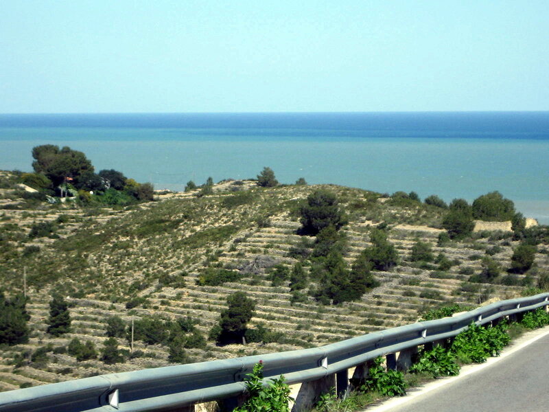 Terraced Hills Overlooking Sea