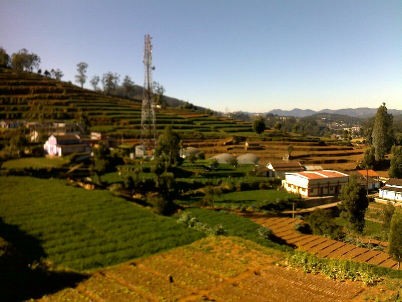 Terraced Hills with Farmhouses