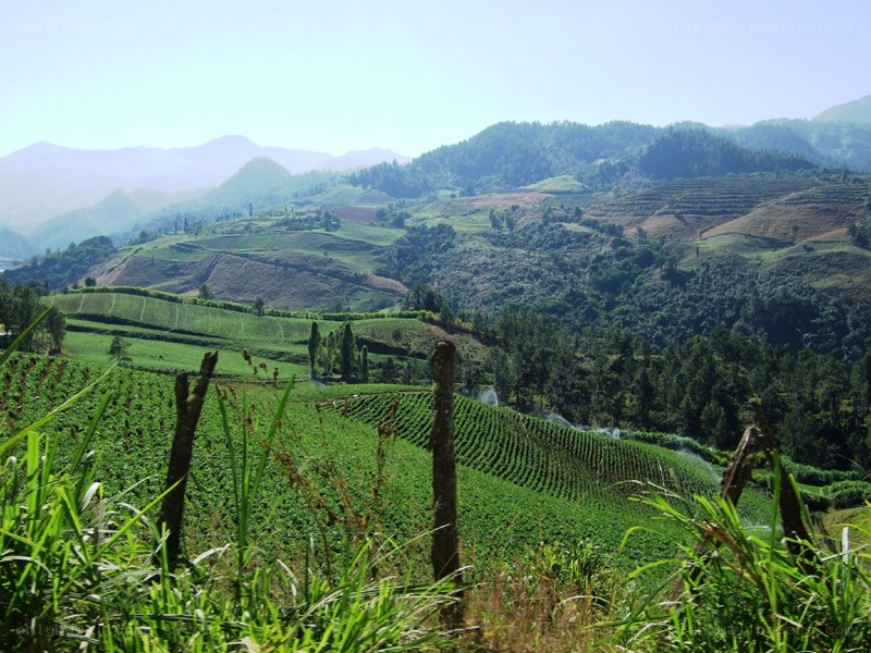 Terraced hills with irrigation