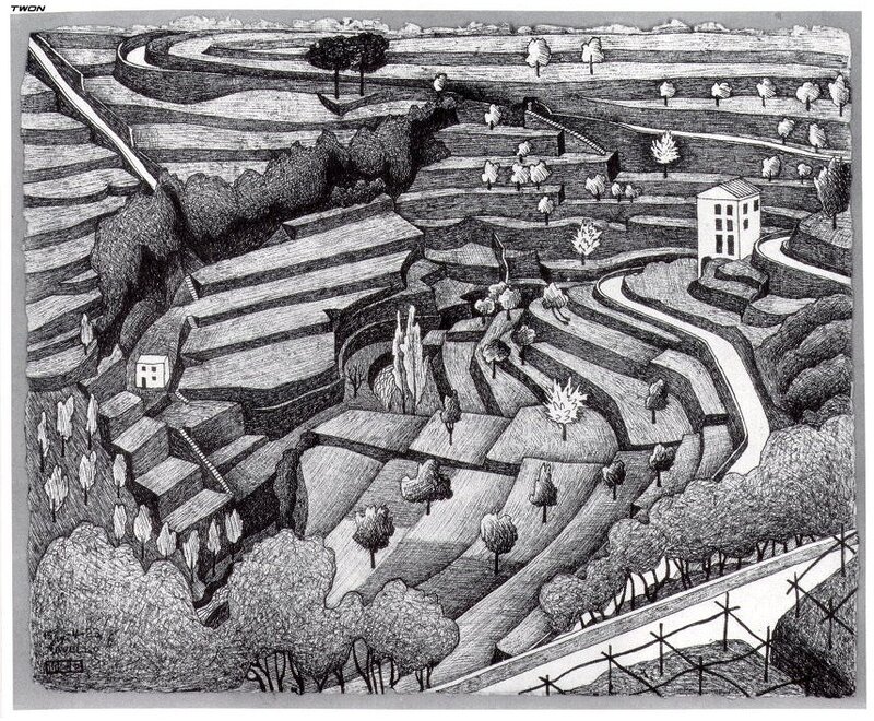 Terraced Hillside Landscape
