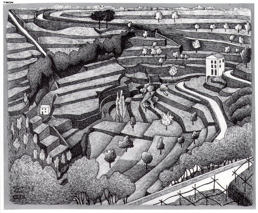 Terraced Hillside Landscape