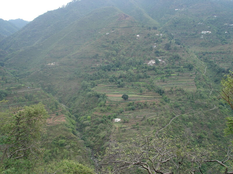 Terraced hillsides in a mountain valley