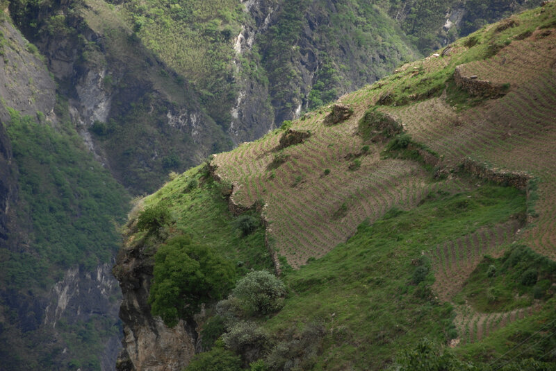 Terraced hillsides in a mountain valley
