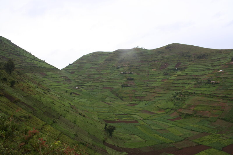 Terraced hillsides in a valley