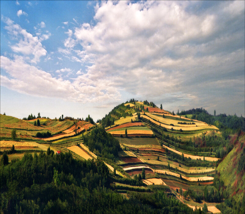 Terraced Hillsides