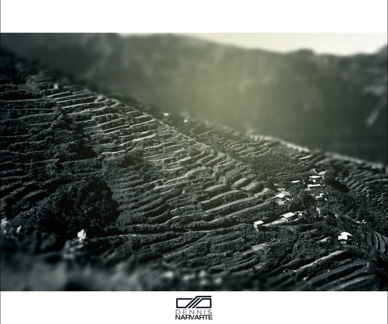 Terraced hillsides with village