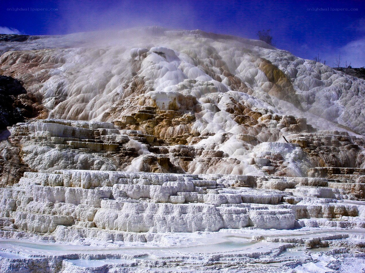 Terraced hot springs formation
