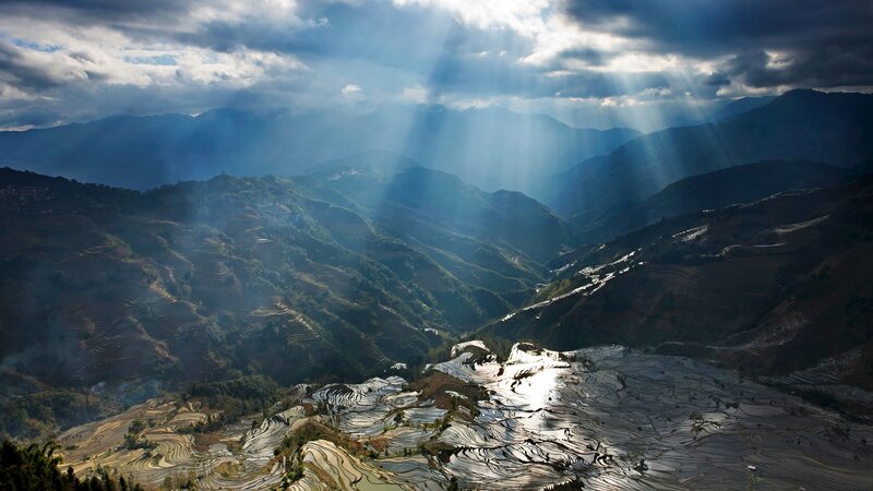 Terraced Rice Fields — Blue, Dramatic, Morning, Photograph