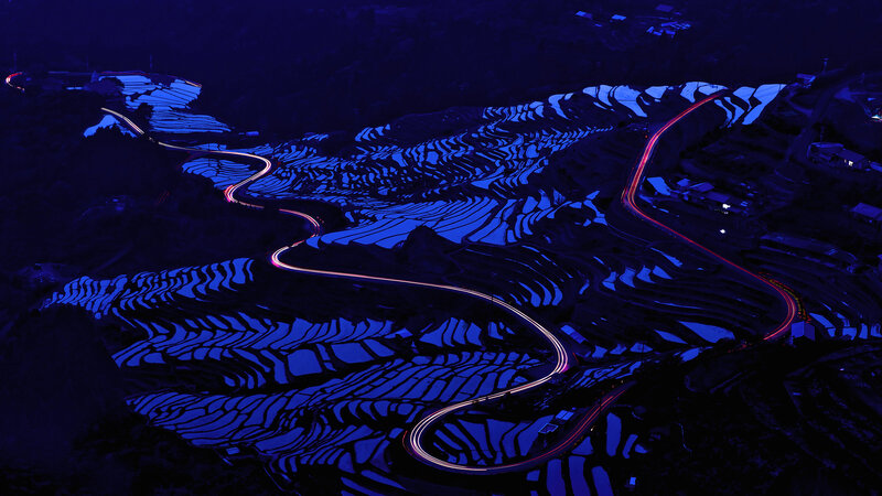 Terraced Rice Fields — Blue, Dramatic
