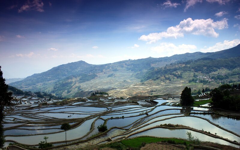 Terraced Rice Fields — Blue, Serene, Afternoon, Photograph, Mountains, Clouds