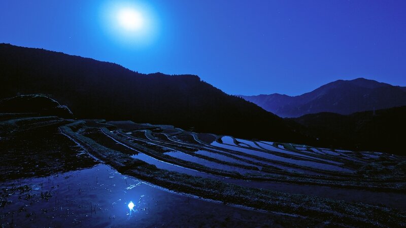 Terraced Rice Fields — Blue, Serene