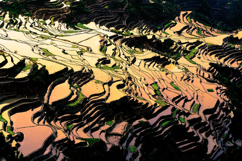 Terraced Rice Fields — Brown, Dramatic, Sunset