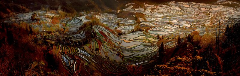 Terraced Rice Fields — Brown, Dramatic