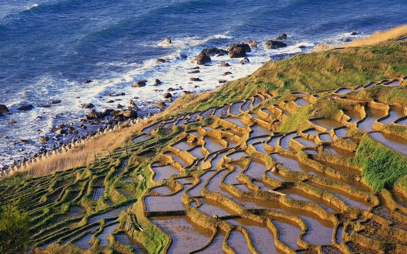 Terraced rice fields by the sea