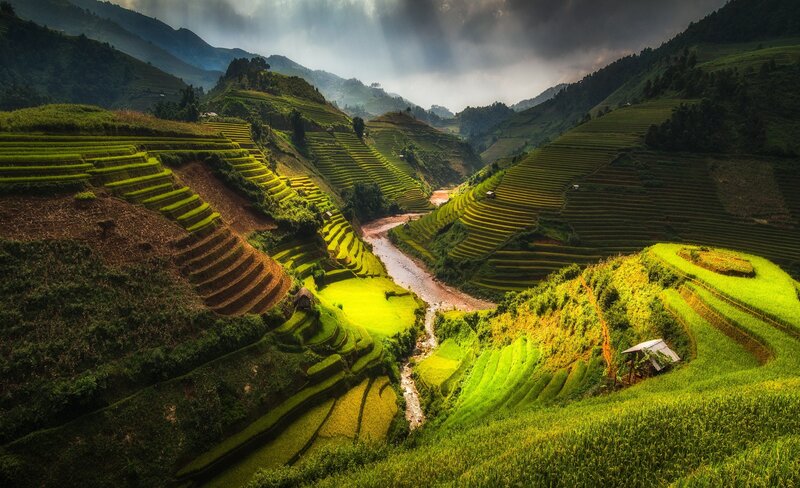 Terraced Rice Fields — Green, Dramatic, Afternoon, Photograph, Mountains, River