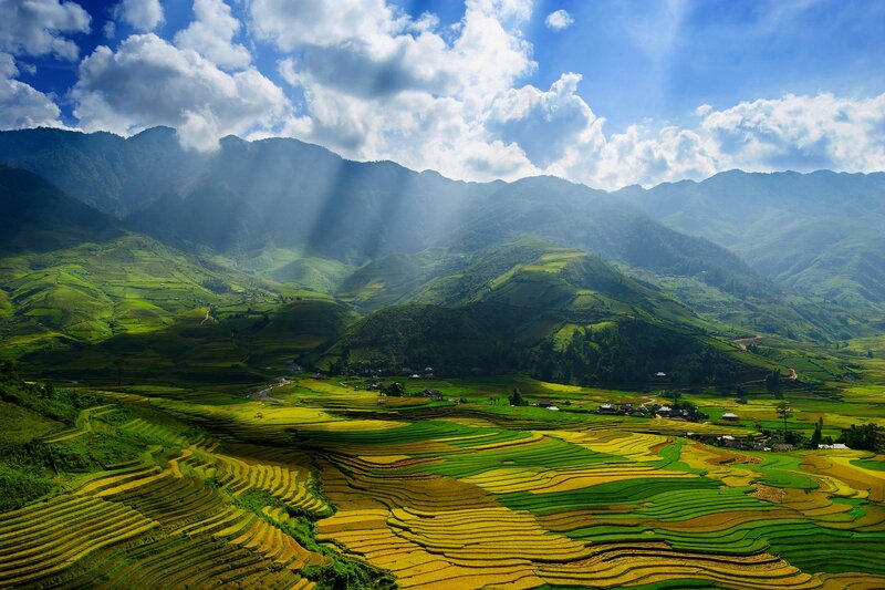 Terraced Rice Fields — Green, Dramatic, Afternoon, Photograph, Mountains