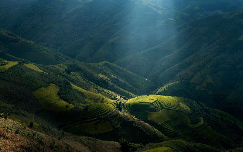 Terraced Rice Fields — Green, Dramatic, Morning