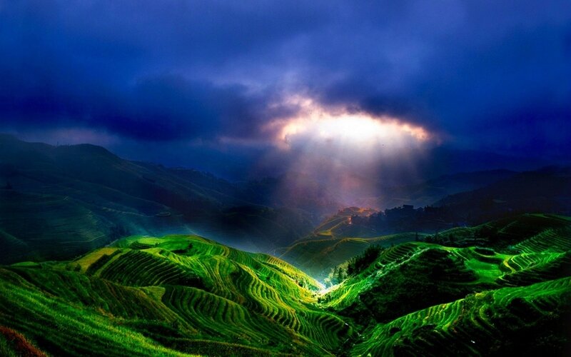 Terraced Rice Fields — Green, Dramatic, Night