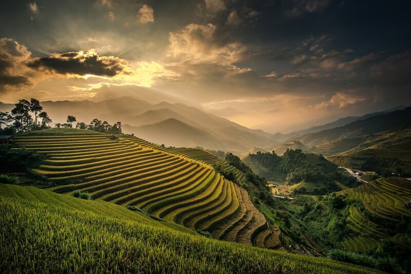 Terraced Rice Fields — Green, Dramatic, Sunset, Photograph