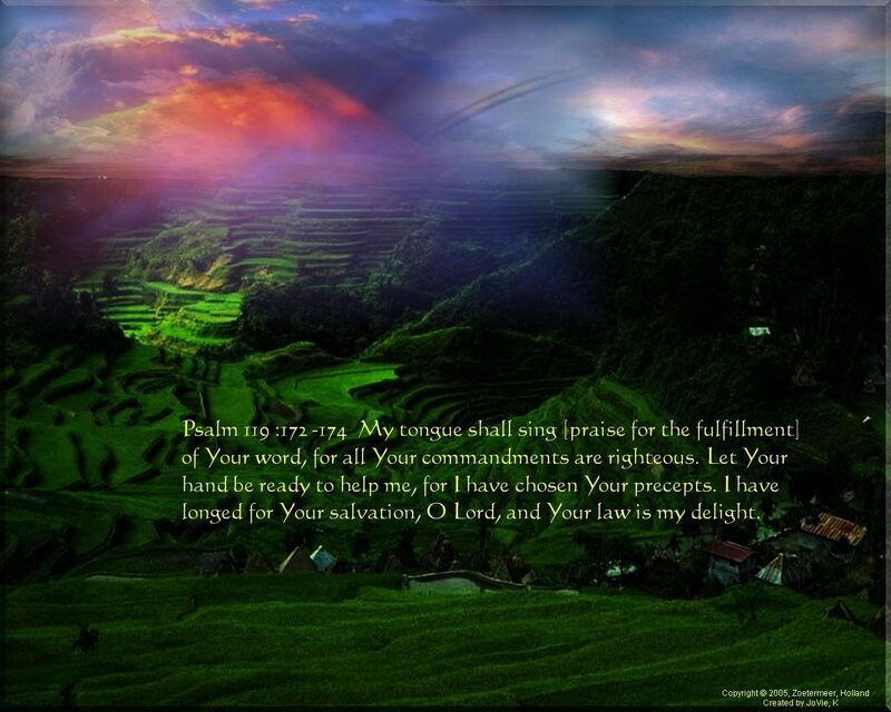 Terraced Rice Fields — Green, Dramatic, Sunset