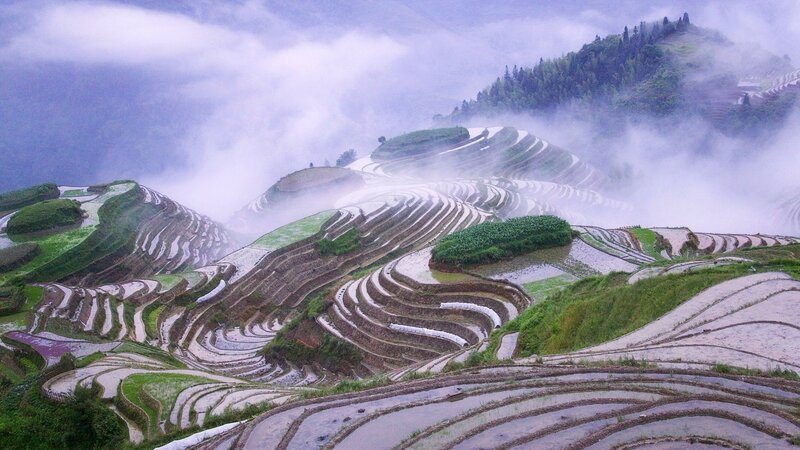 Terraced Rice Fields — Green, Misty, Morning, Photograph, Mountains, Fog, Rice Paddies