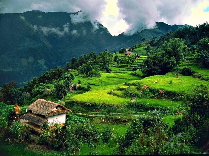 Terraced Rice Fields — Green, Serene, Afternoon, Photograph, Mountains, Huts, Trees, Brown, Gray