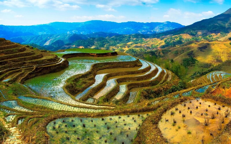 Terraced Rice Fields — Green, Serene, Afternoon, Photograph, Mountains, Valley, Rivers