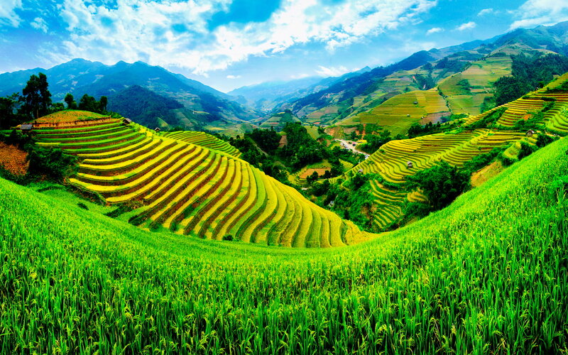 Terraced Rice Fields — Green, Serene, Afternoon, Photograph, Mountains, Valley, Sky