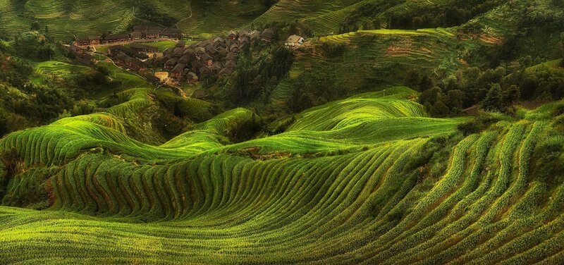 Terraced Rice Fields — Green, Serene, Afternoon, Photograph, Village, Hills