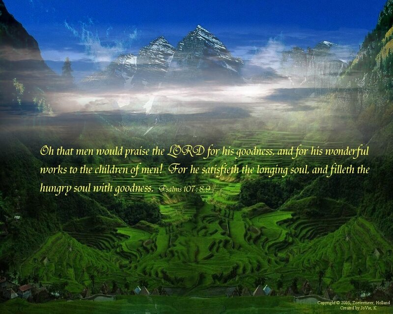Terraced Rice Fields — Green, Serene, Morning, Digital Art